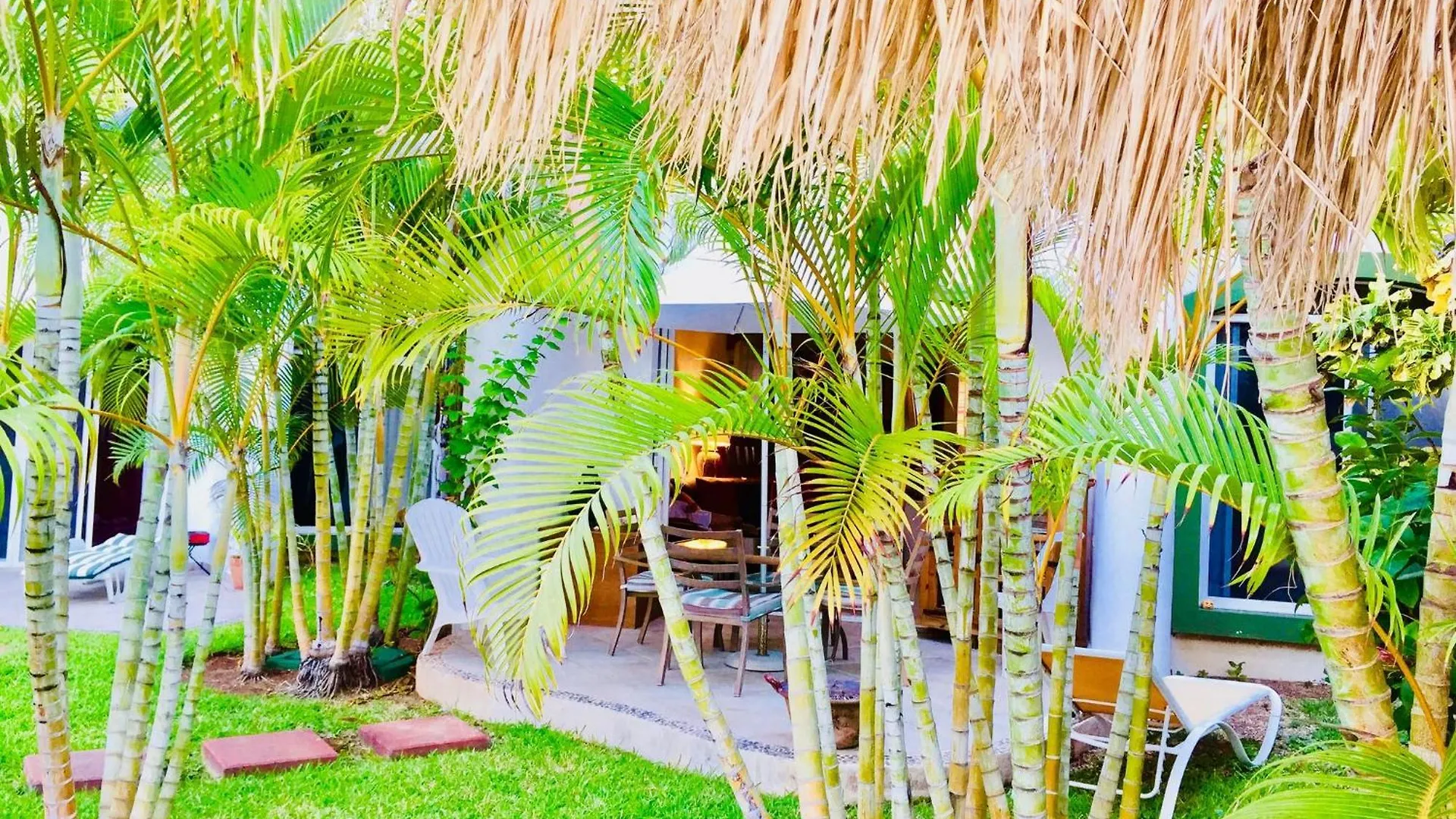 Executive Budget Room With Swimming Pool Air Conditioning And Parking Playa del Carmen 0*,  Mexico