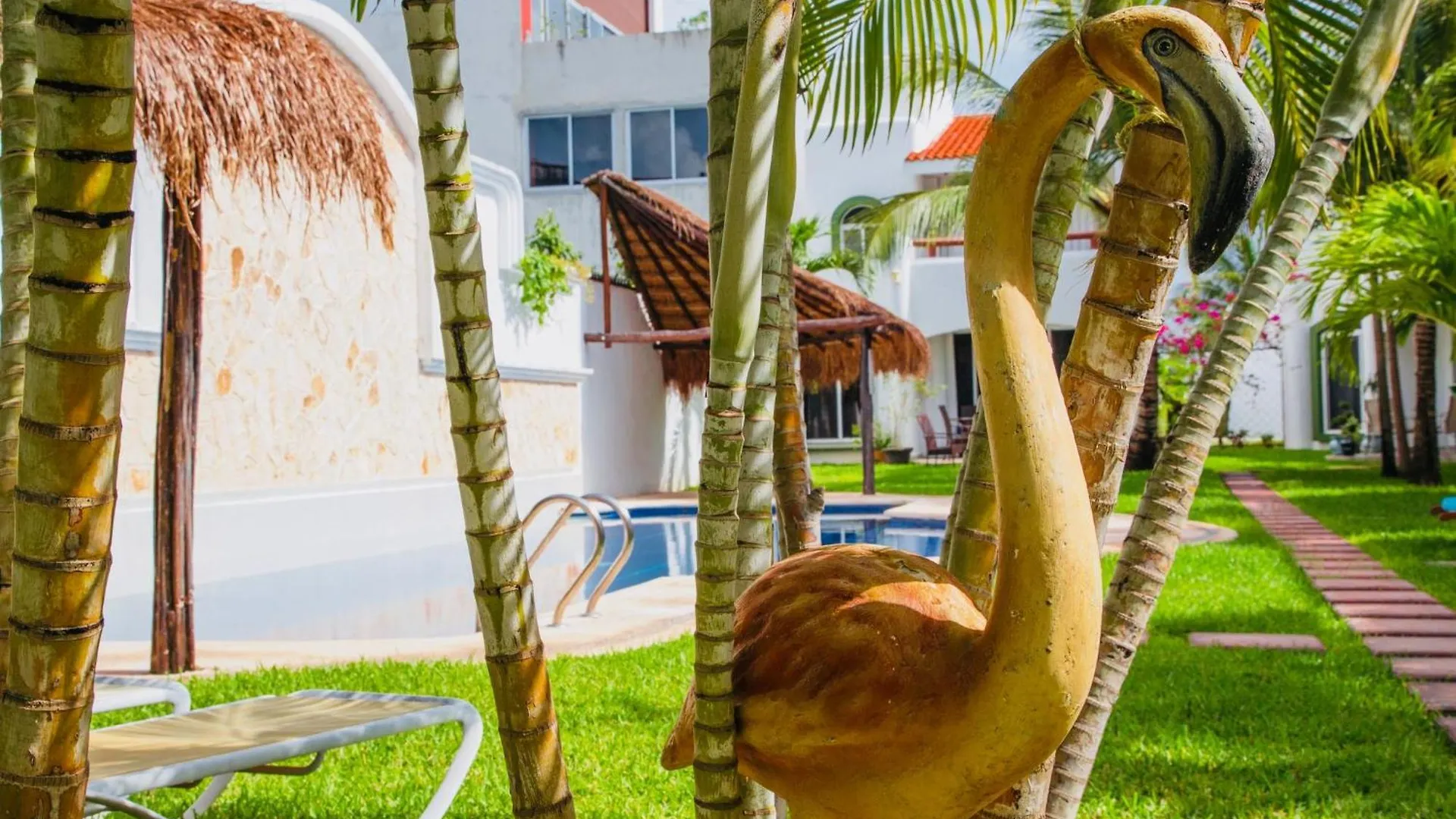 Executive Budget Room With Swimming Pool Air Conditioning And Parking Playa del Carmen 0*,  Mexico