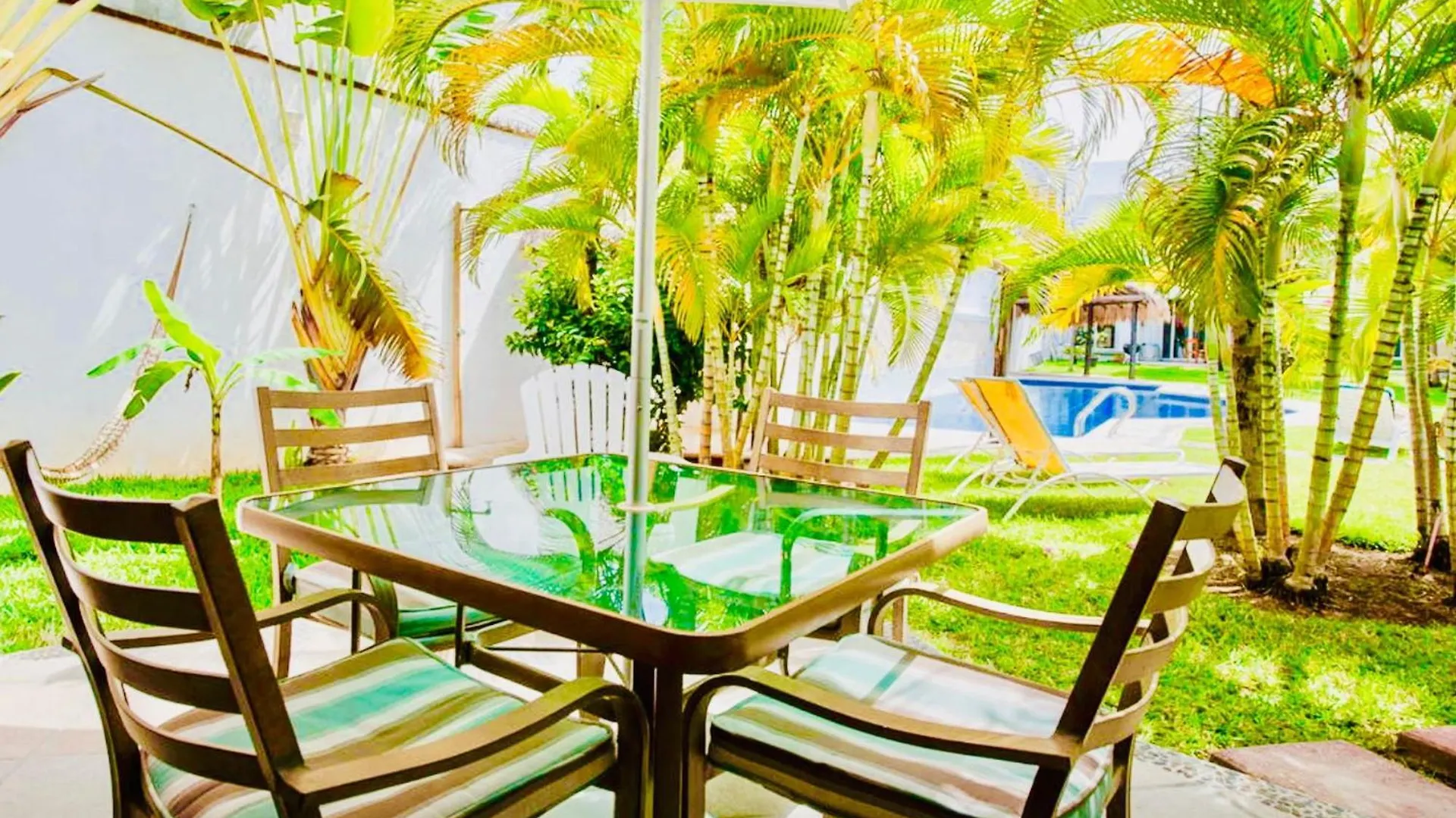 Guest house Executive Budget Room With Swimming Pool Air Conditioning And Parking Playa del Carmen