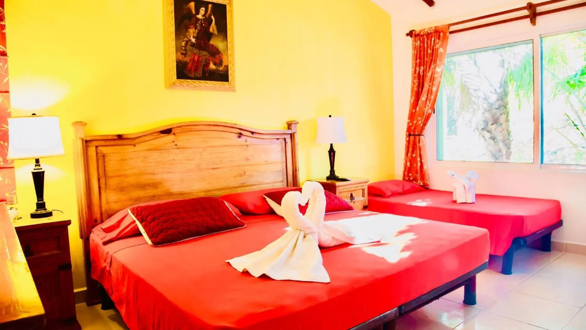 Guest house Executive Budget Room With Swimming Pool Air Conditioning And Parking Playa del Carmen Mexico
