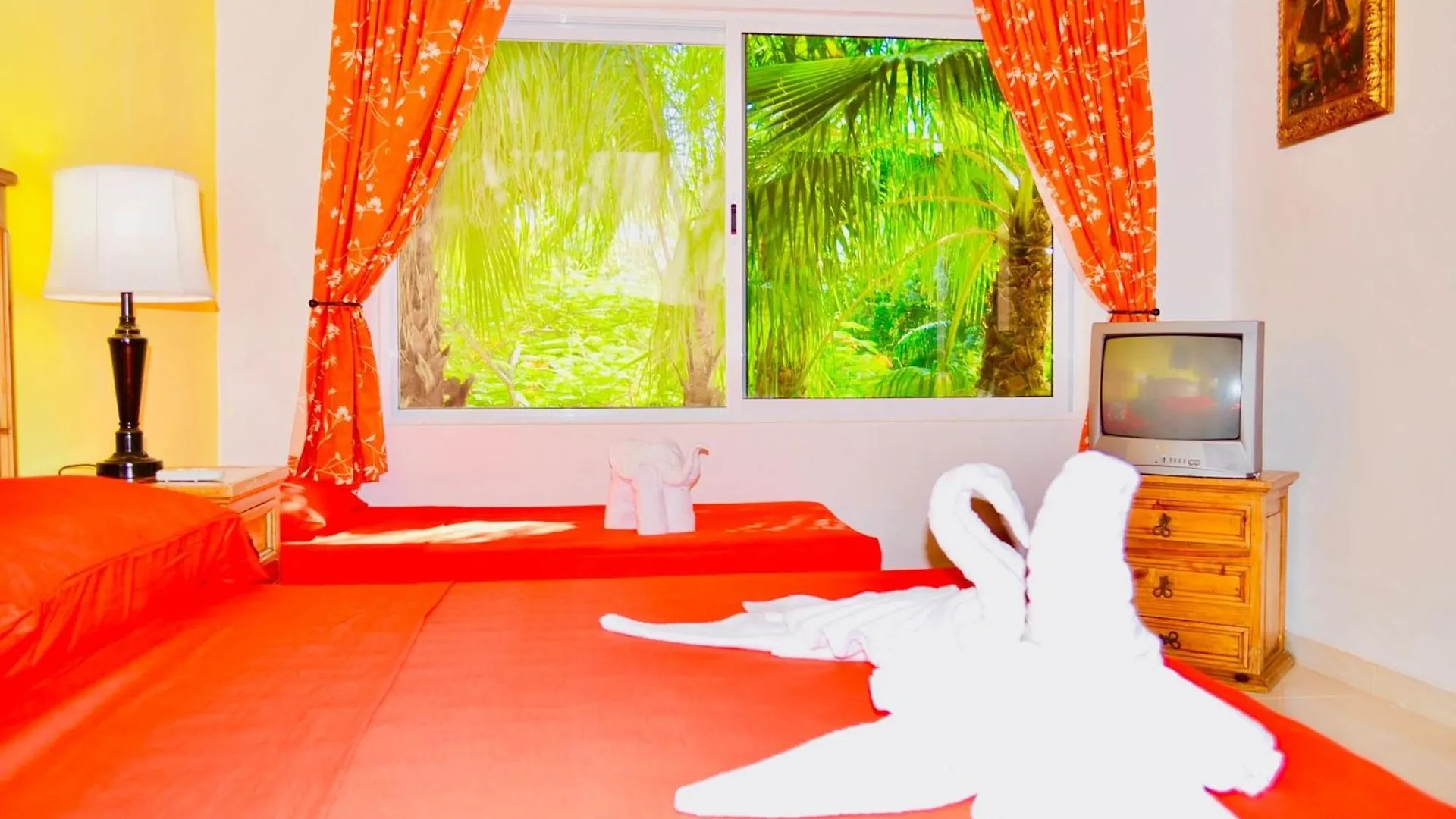 Executive Budget Room With Swimming Pool Air Conditioning And Parking Playa del Carmen Mexico