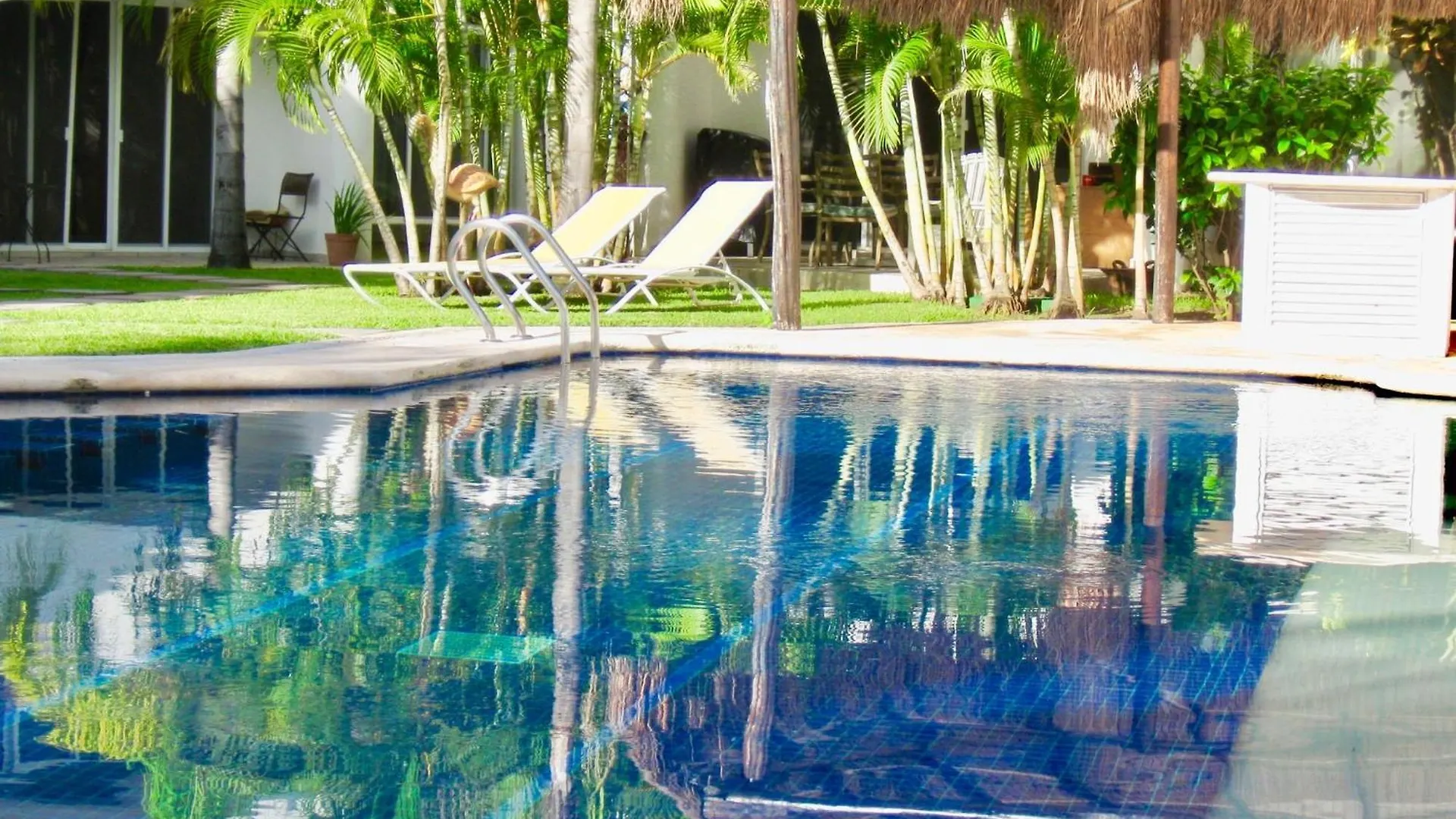 Executive Budget Room With Swimming Pool Air Conditioning And Parking Playa del Carmen